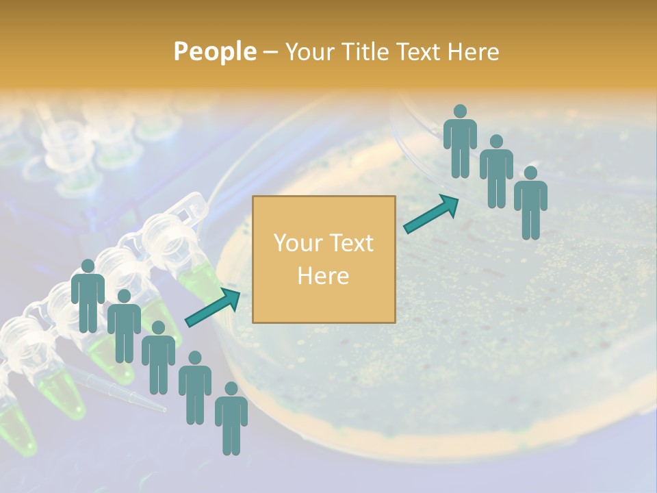 Holding Biochemistry Biotechnology PowerPoint Template