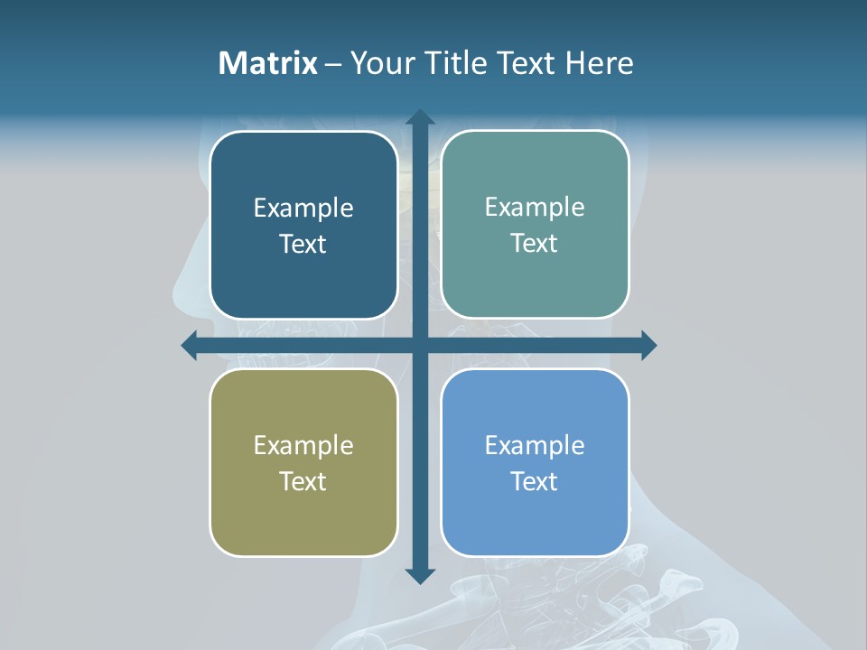 Organ Ray Cerebellum PowerPoint Template