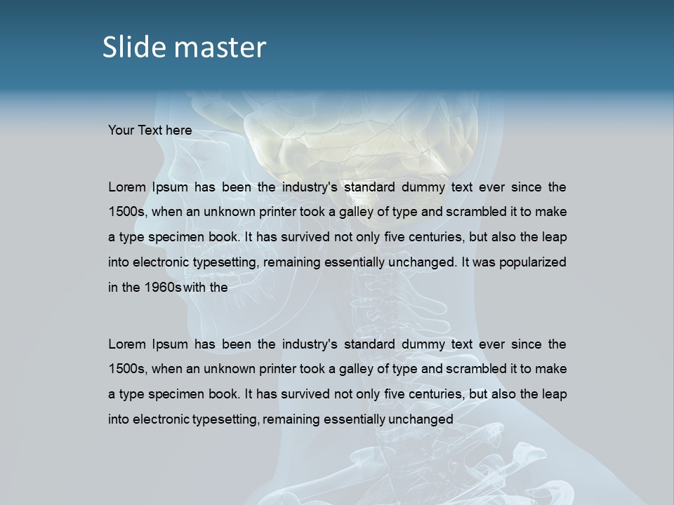 Organ Ray Cerebellum PowerPoint Template