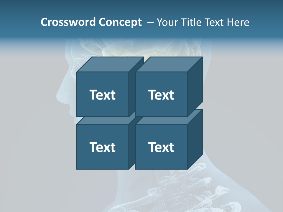 Organ Ray Cerebellum PowerPoint Template