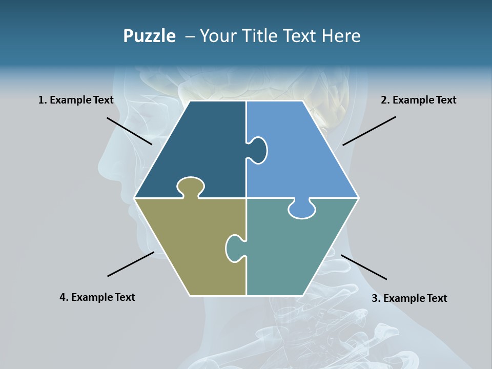 Organ Ray Cerebellum PowerPoint Template