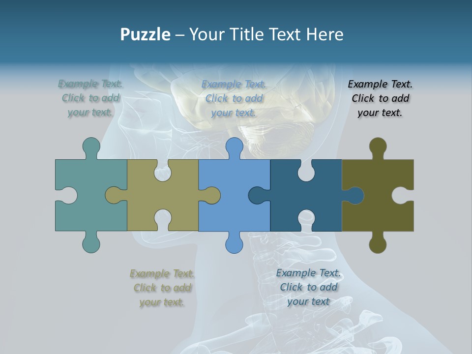 Organ Ray Cerebellum PowerPoint Template