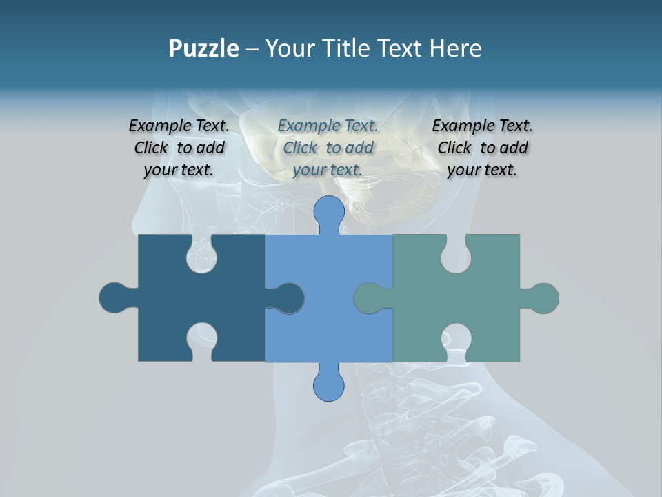 Organ Ray Cerebellum PowerPoint Template