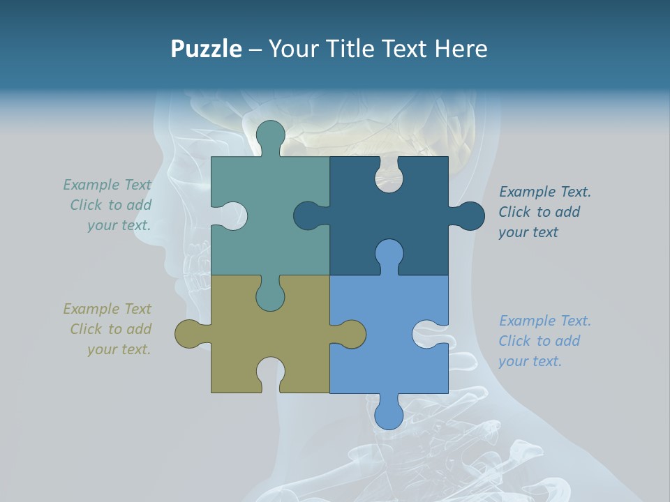 Organ Ray Cerebellum PowerPoint Template