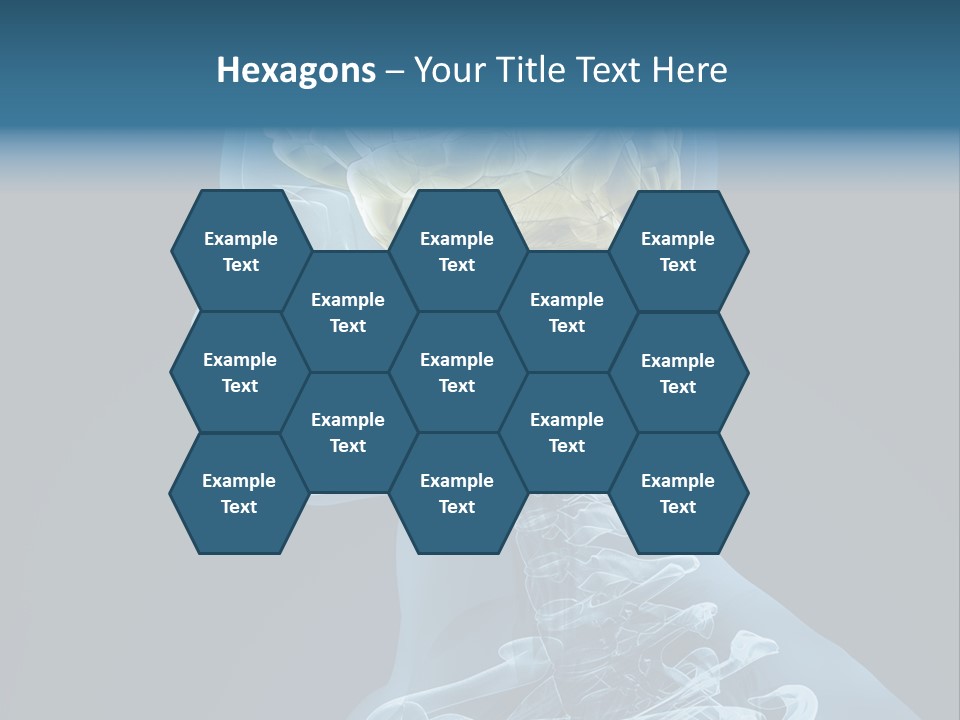 Organ Ray Cerebellum PowerPoint Template