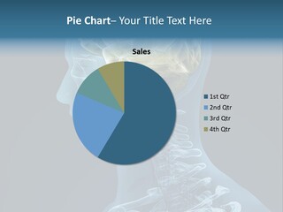 Organ Ray Cerebellum PowerPoint Template