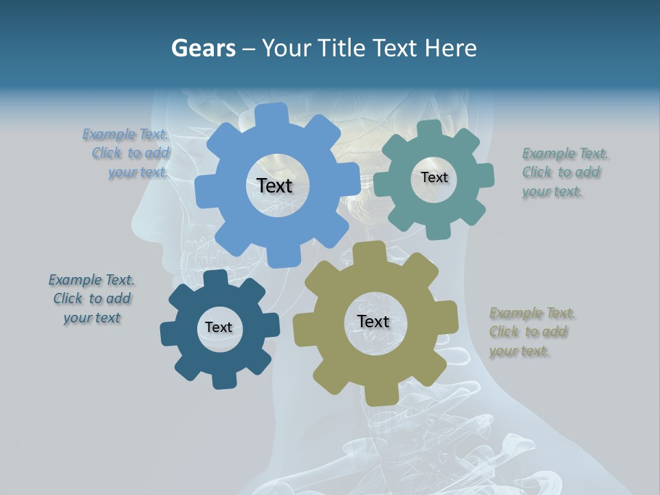 Organ Ray Cerebellum PowerPoint Template