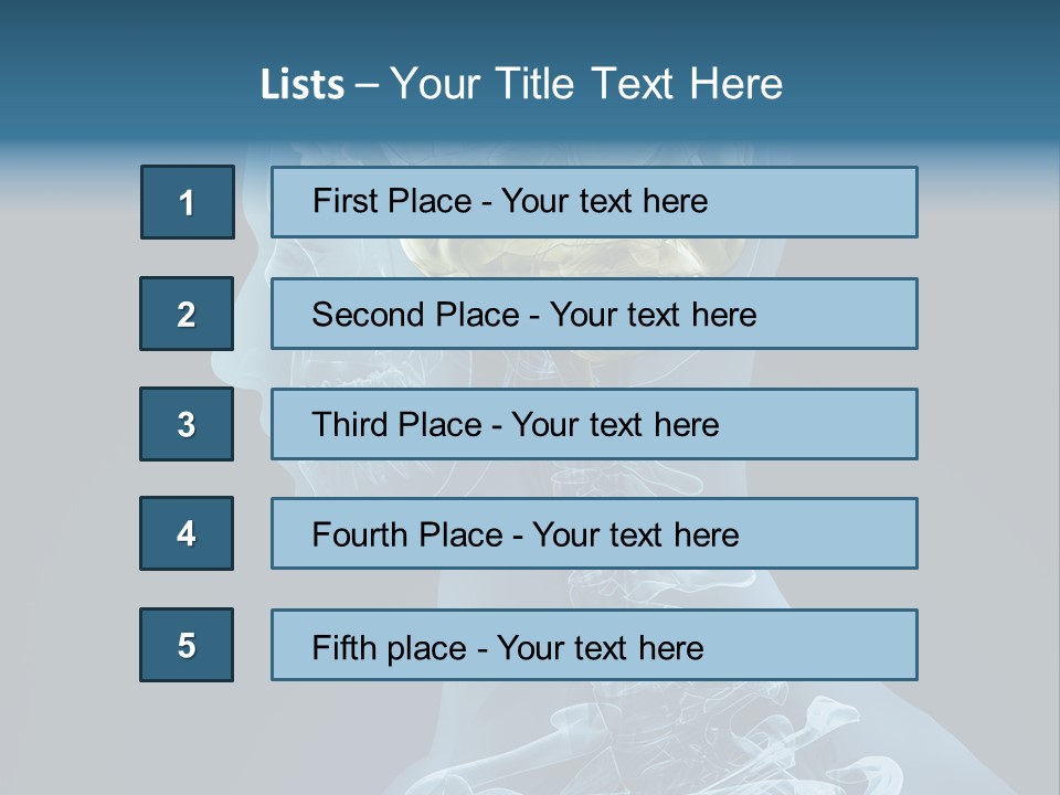 Organ Ray Cerebellum PowerPoint Template