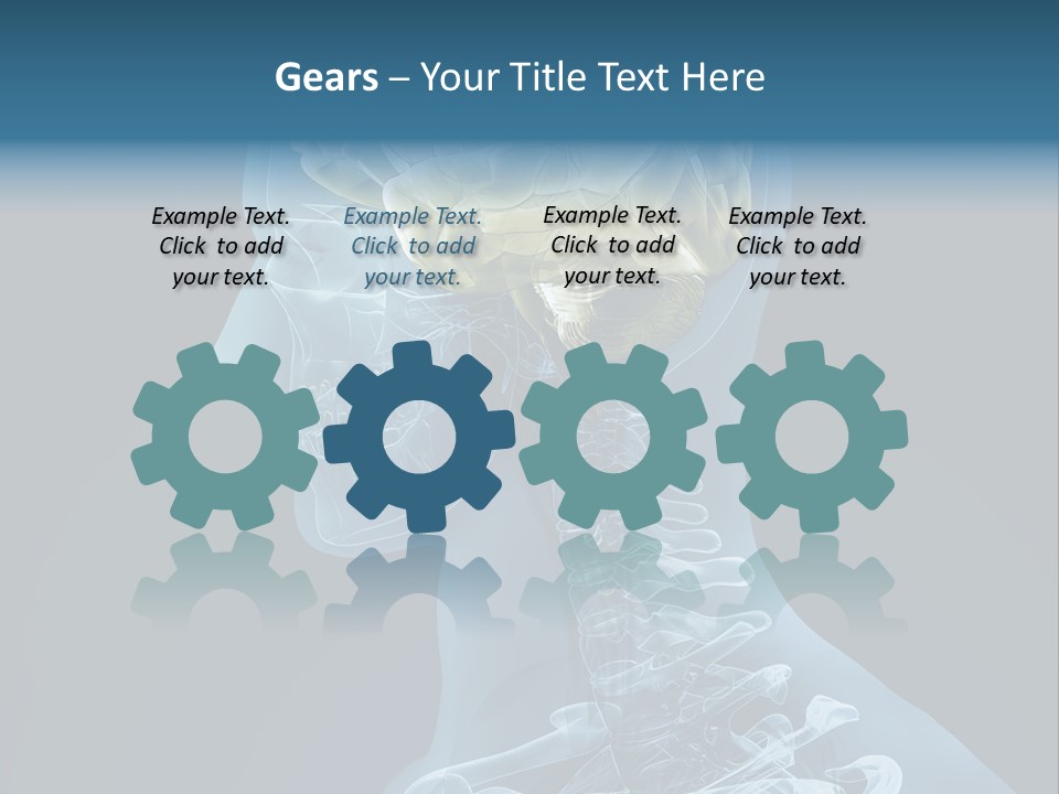 Organ Ray Cerebellum PowerPoint Template