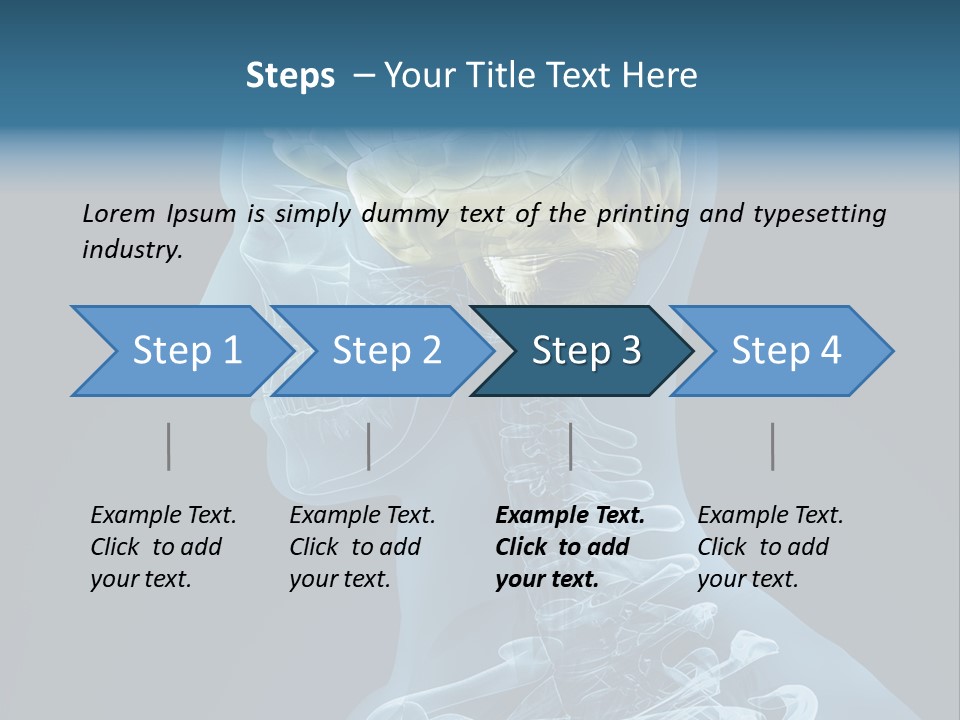 Organ Ray Cerebellum PowerPoint Template