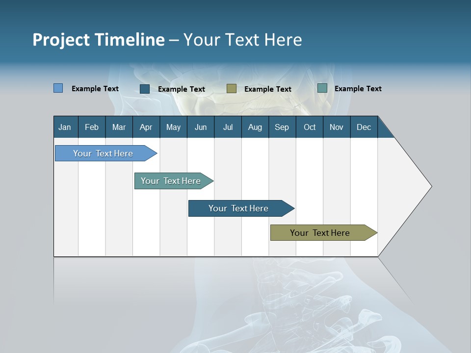 Organ Ray Cerebellum PowerPoint Template