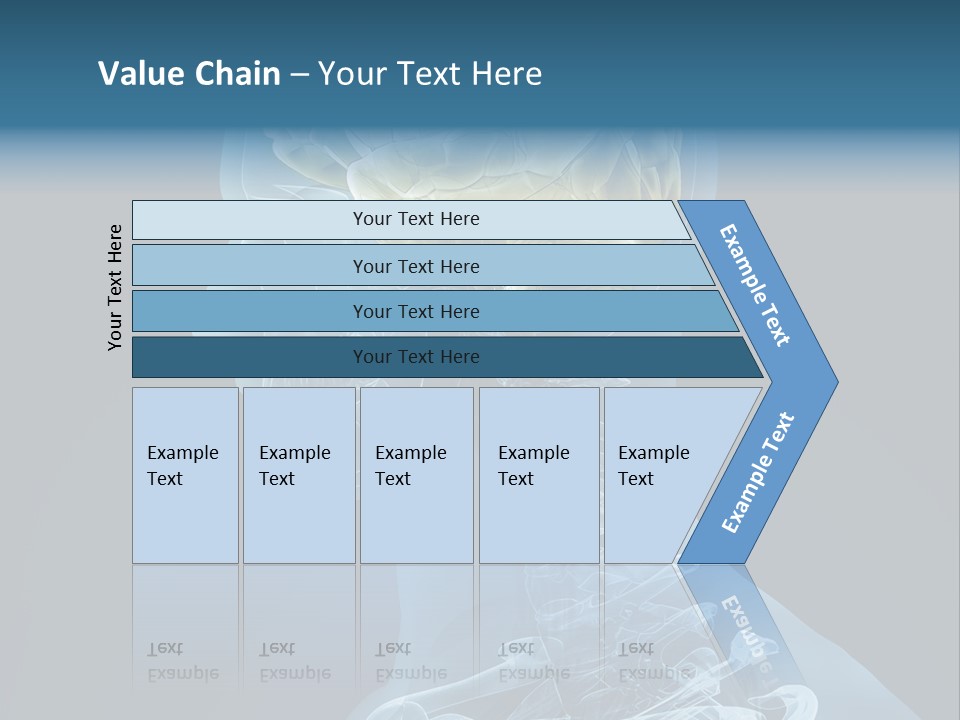 Organ Ray Cerebellum PowerPoint Template