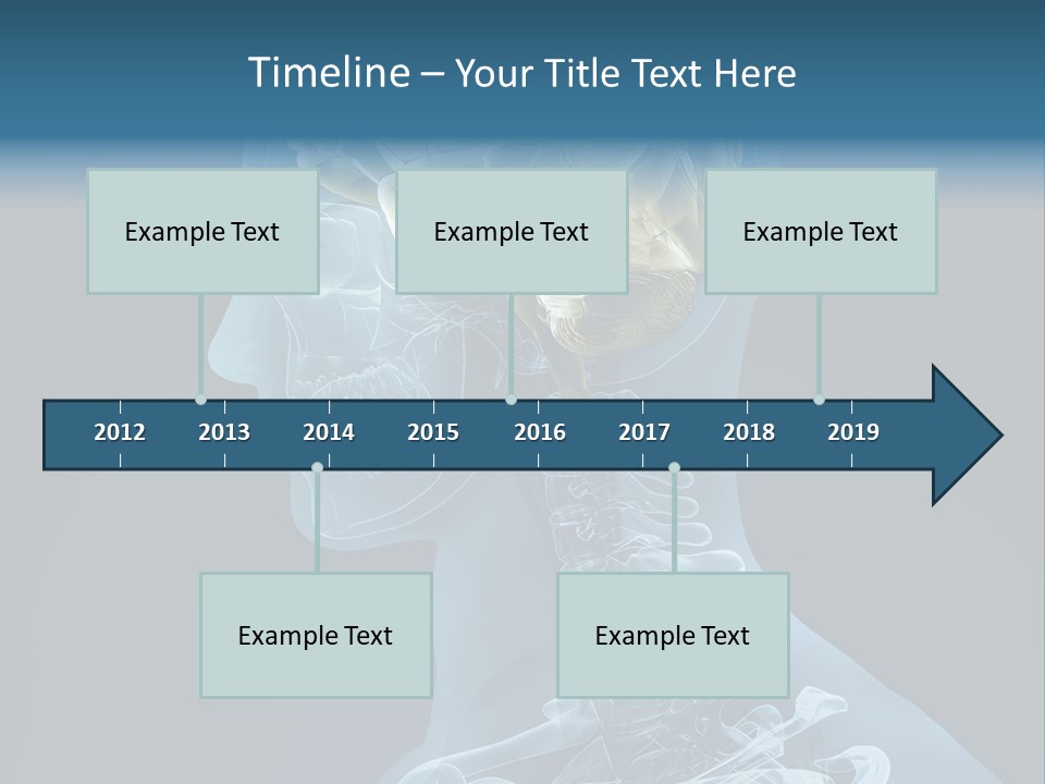 Organ Ray Cerebellum PowerPoint Template