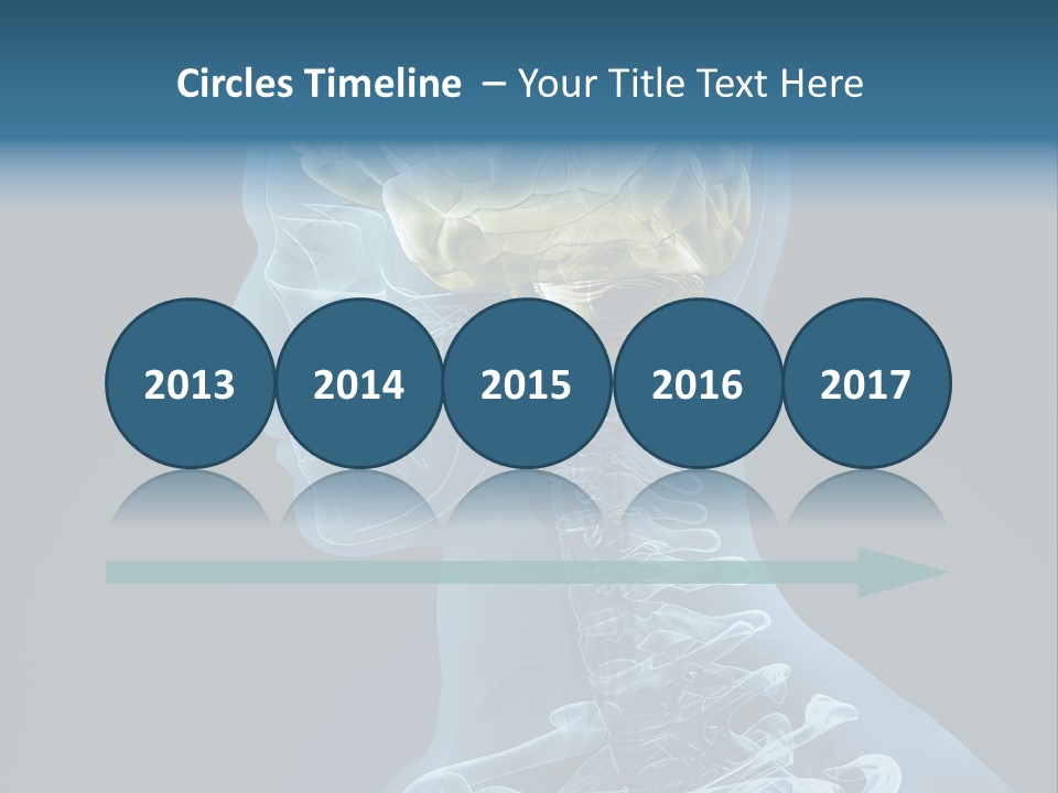 Organ Ray Cerebellum PowerPoint Template