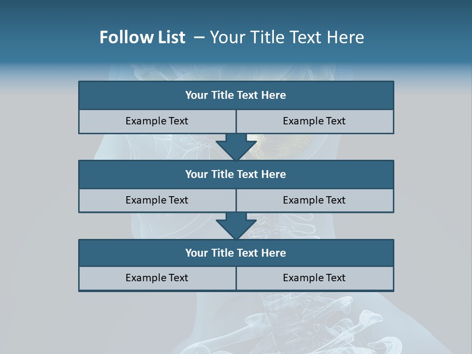 Organ Ray Cerebellum PowerPoint Template