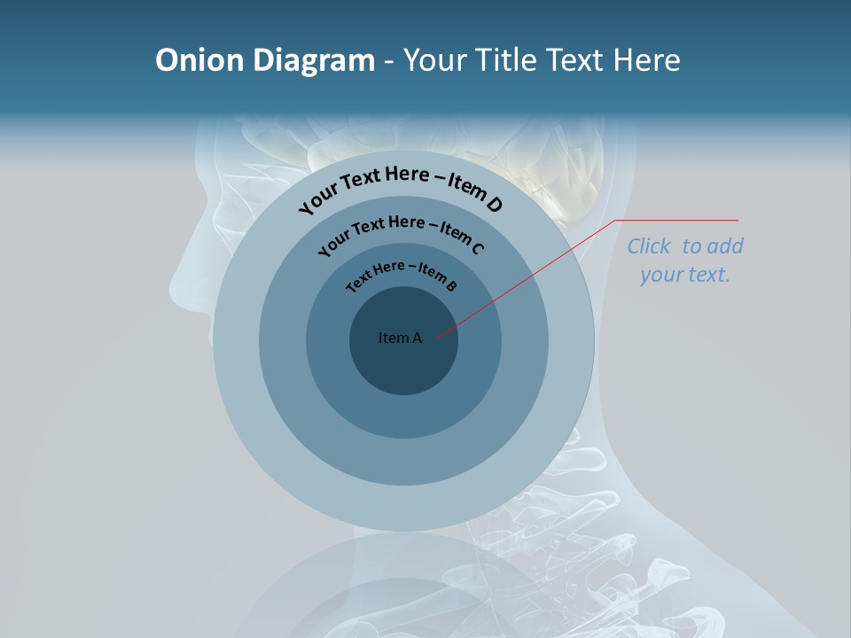 Organ Ray Cerebellum PowerPoint Template