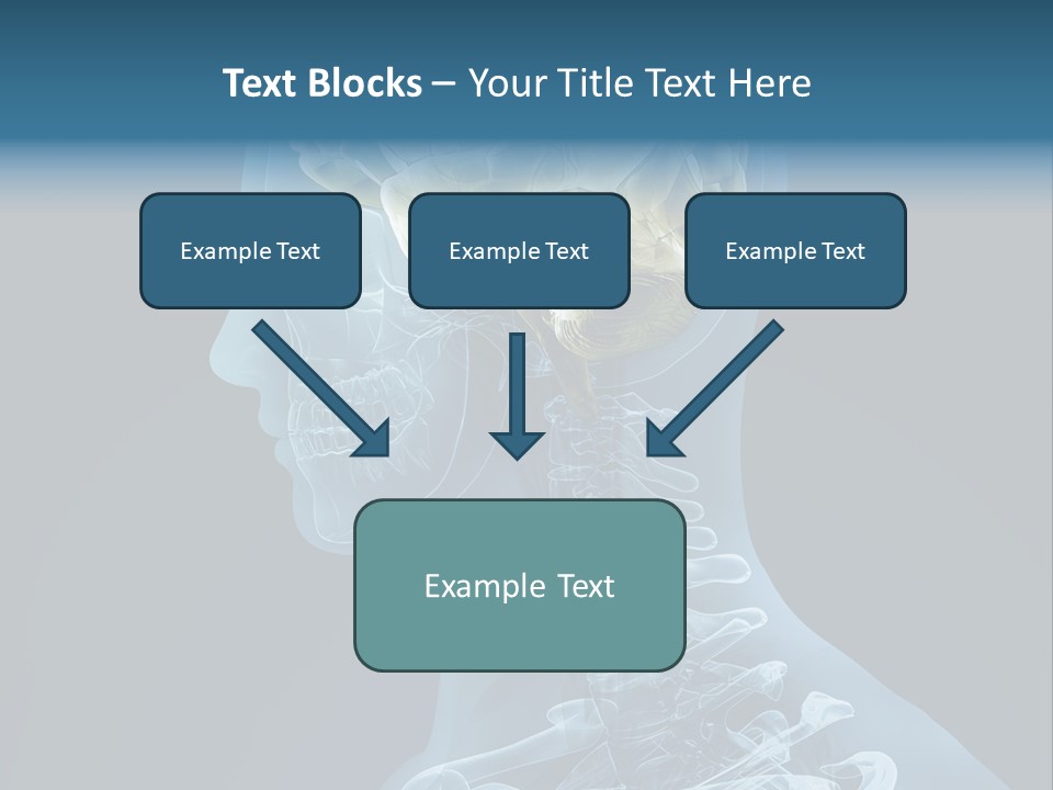 Organ Ray Cerebellum PowerPoint Template