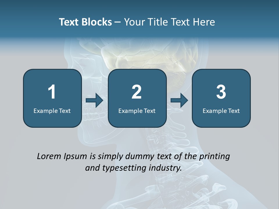 Organ Ray Cerebellum PowerPoint Template