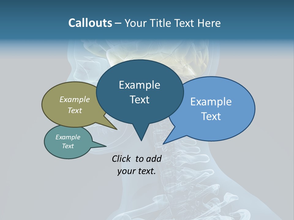 Organ Ray Cerebellum PowerPoint Template