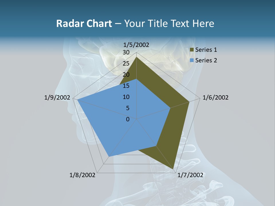 Organ Ray Cerebellum PowerPoint Template