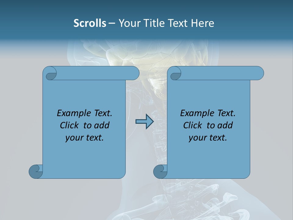 Organ Ray Cerebellum PowerPoint Template