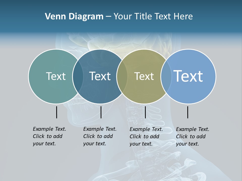 Organ Ray Cerebellum PowerPoint Template