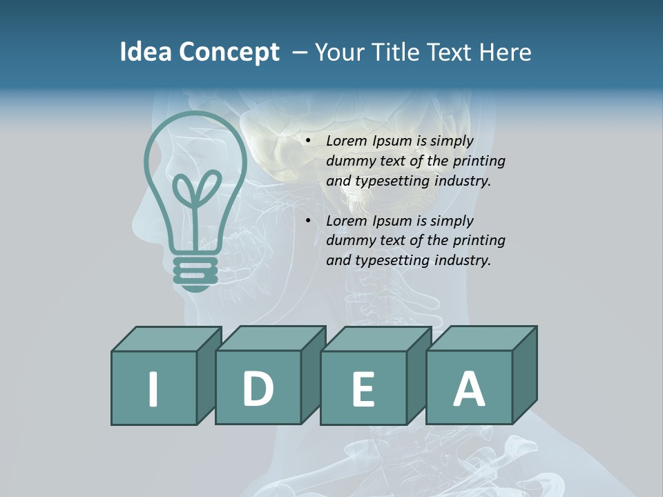 Organ Ray Cerebellum PowerPoint Template