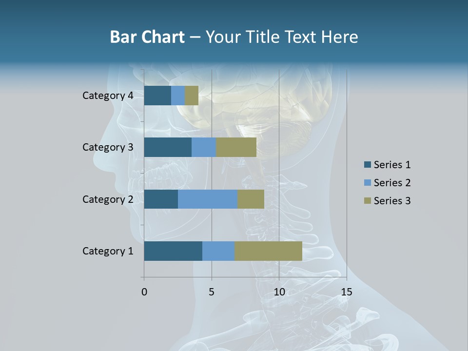 Organ Ray Cerebellum PowerPoint Template