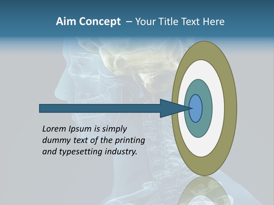 Organ Ray Cerebellum PowerPoint Template