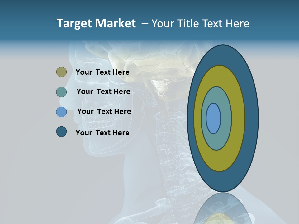 Organ Ray Cerebellum PowerPoint Template