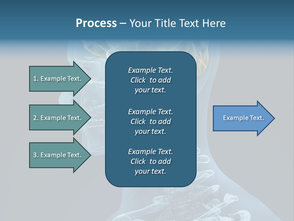 Organ Ray Cerebellum PowerPoint Template