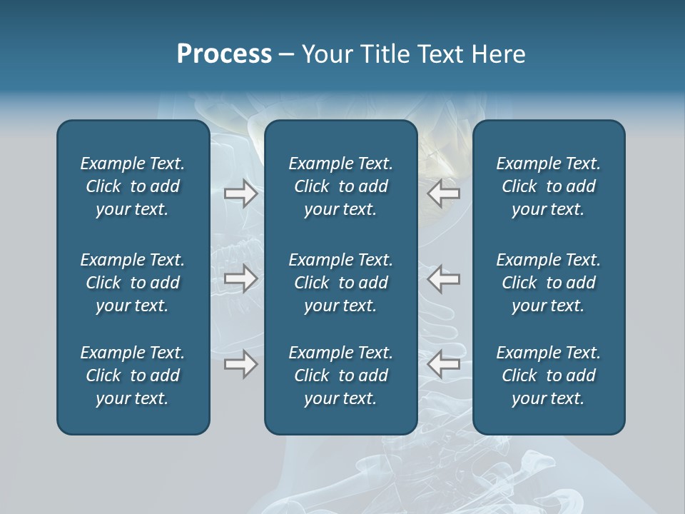 Organ Ray Cerebellum PowerPoint Template
