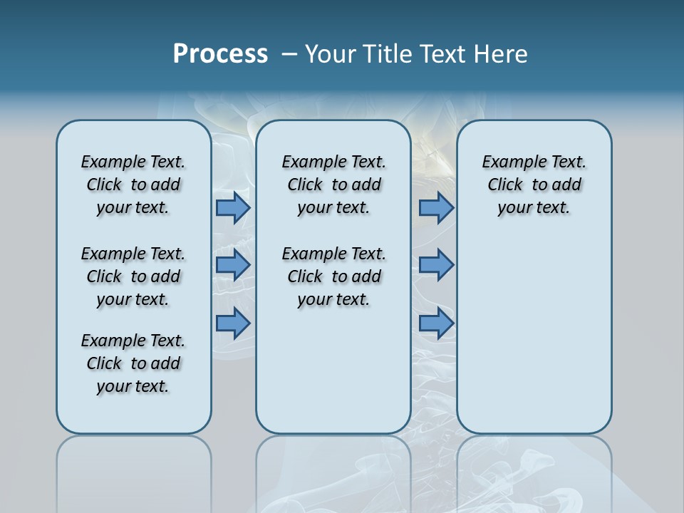 Organ Ray Cerebellum PowerPoint Template