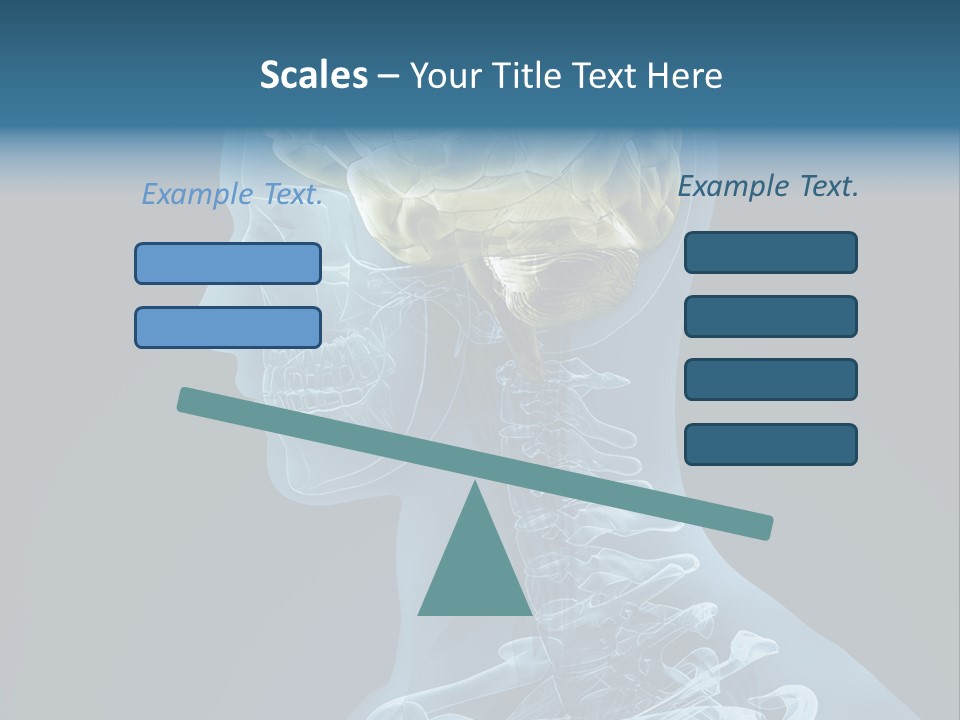 Organ Ray Cerebellum PowerPoint Template