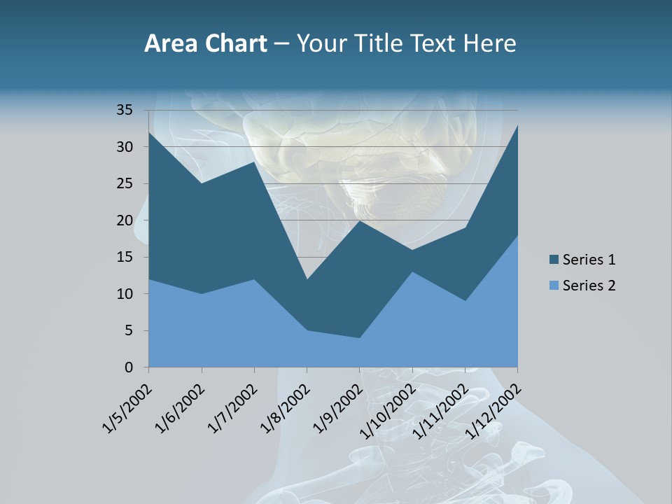 Organ Ray Cerebellum PowerPoint Template