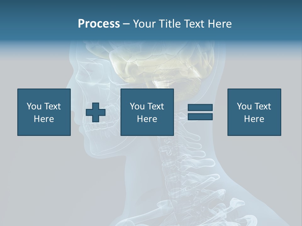 Organ Ray Cerebellum PowerPoint Template