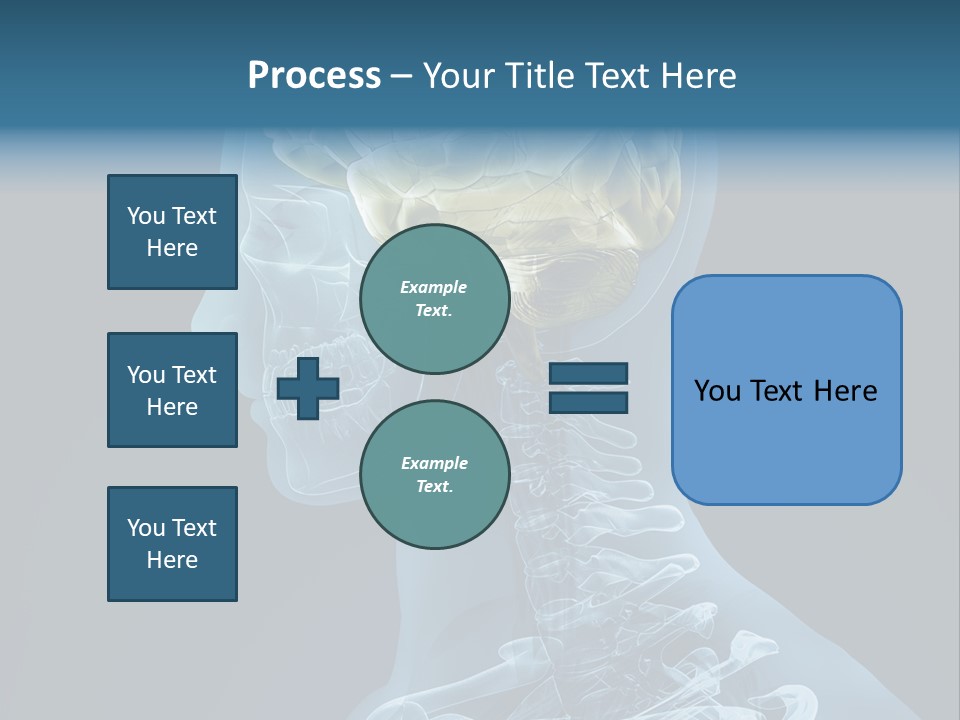 Organ Ray Cerebellum PowerPoint Template