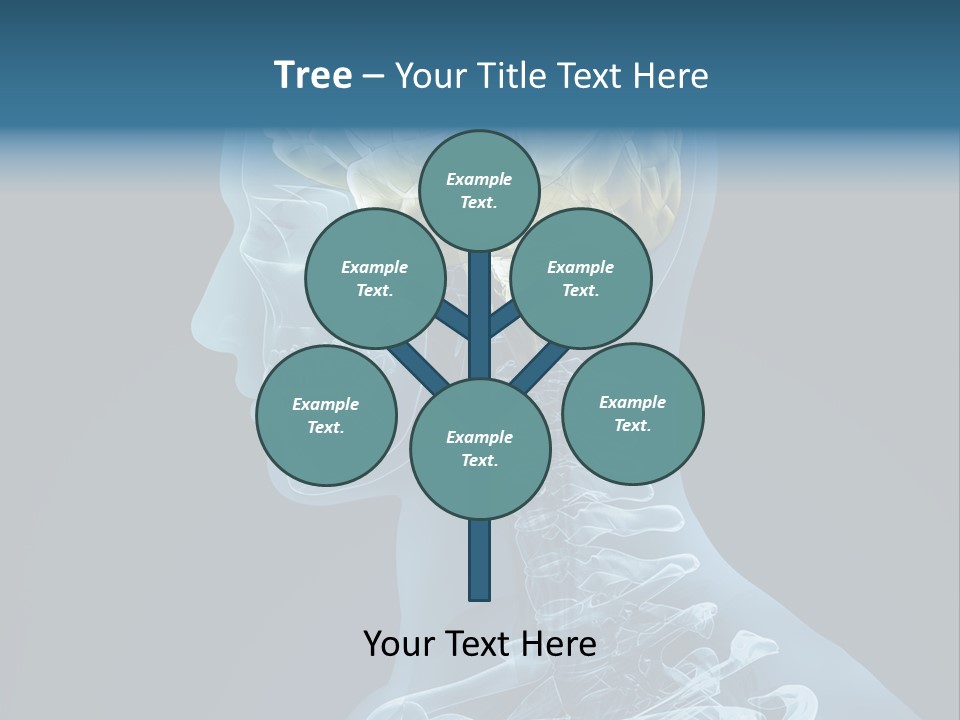 Organ Ray Cerebellum PowerPoint Template