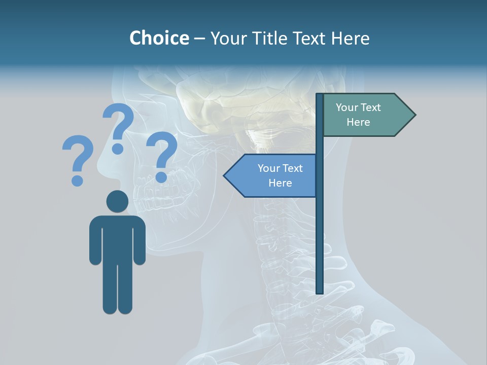 Organ Ray Cerebellum PowerPoint Template