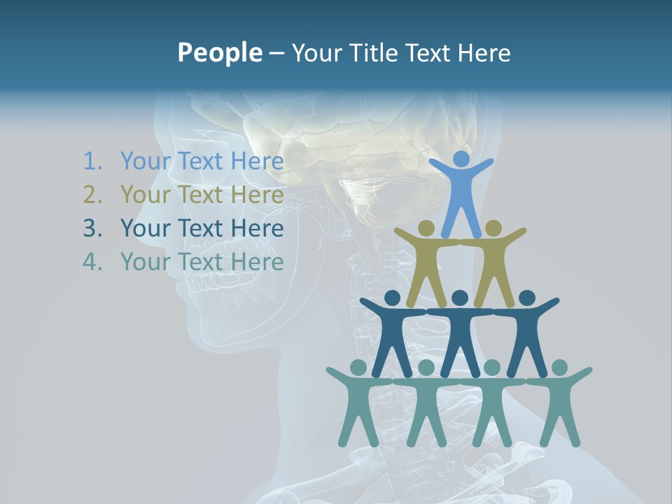 Organ Ray Cerebellum PowerPoint Template