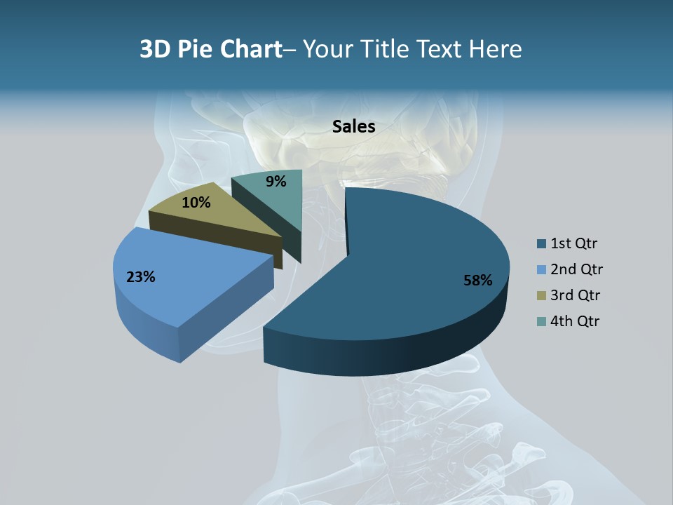 Organ Ray Cerebellum PowerPoint Template