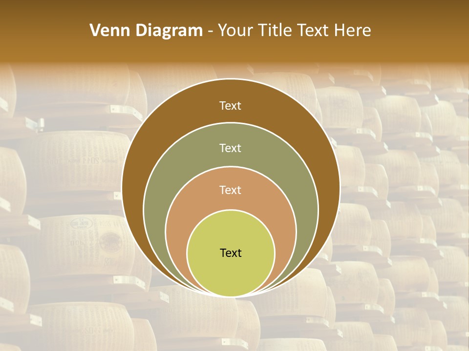 Dairy Hard Parmigiano PowerPoint Template