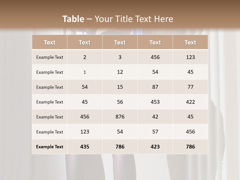 Lacy Underclothes Window PowerPoint Template