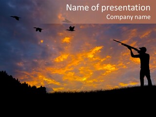 Sunset Wing Beak PowerPoint Template