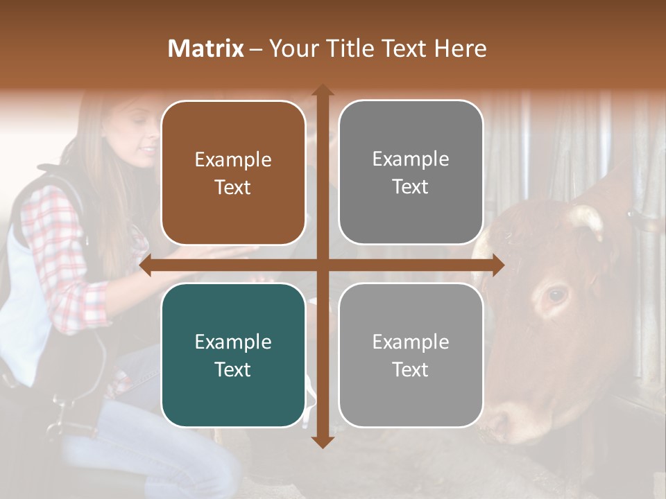 Cows Knelt Woman PowerPoint Template