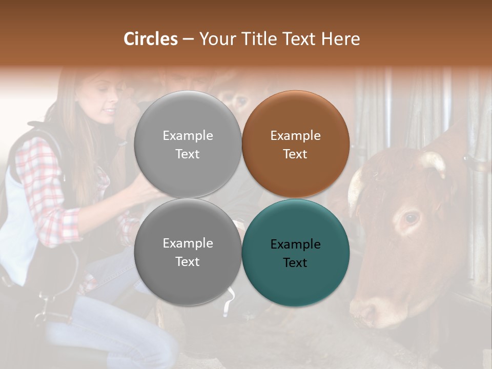 Cows Knelt Woman PowerPoint Template