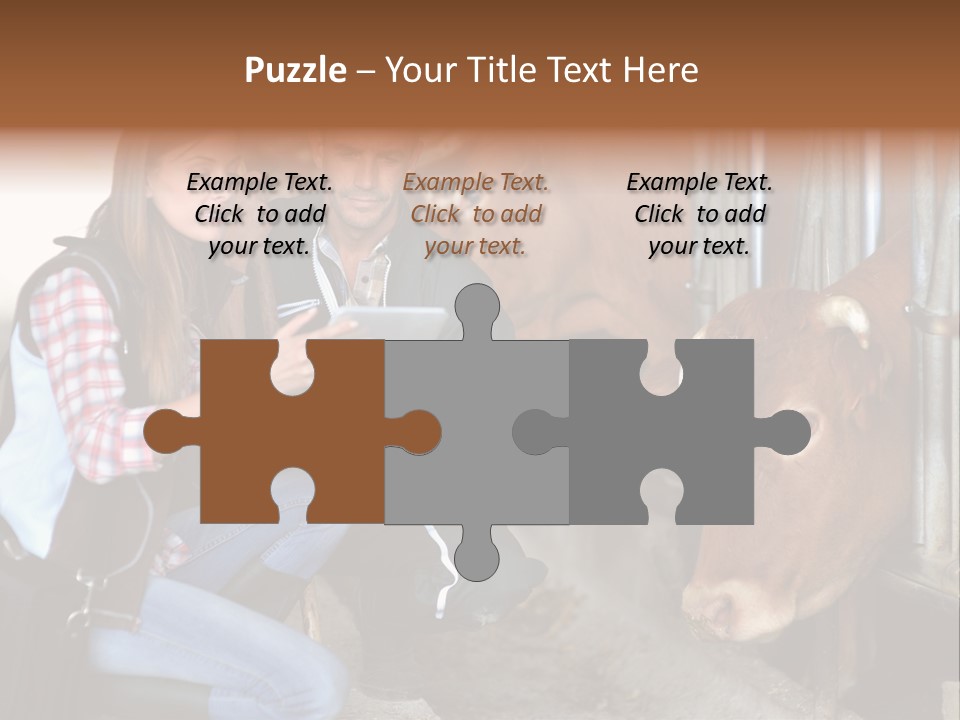 Cows Knelt Woman PowerPoint Template