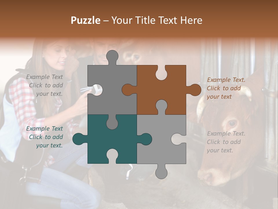 Cows Knelt Woman PowerPoint Template