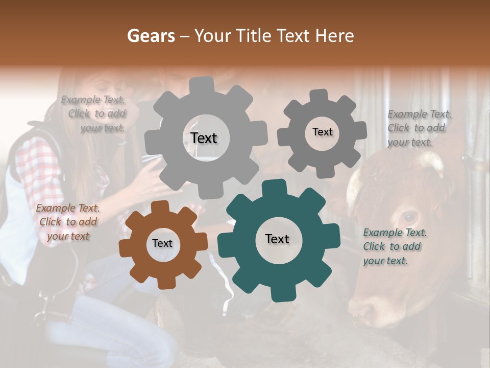 Cows Knelt Woman PowerPoint Template