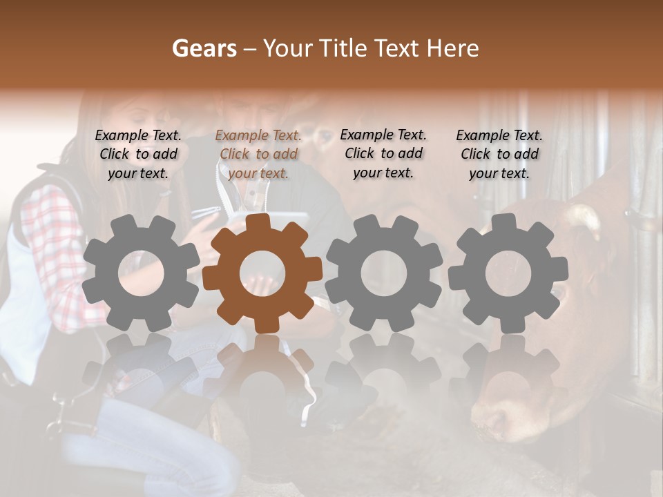 Cows Knelt Woman PowerPoint Template